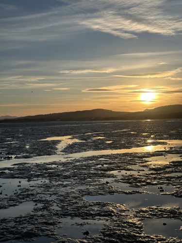 Alness point low sunset over mudflats.jpg