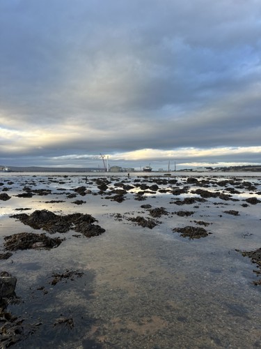 Cromarty to Port of Nigg.jpg